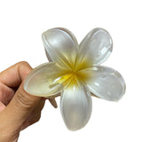 Flower Barrettes Women's Colorful Updo Gadget Hair Accessories sariiholidaycouture